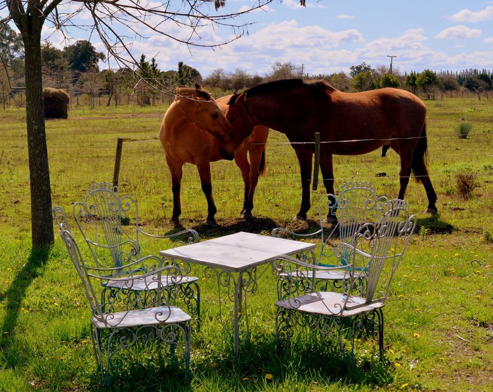 El Ranchito De Areco Villa San Antonio de Areco Exterior foto